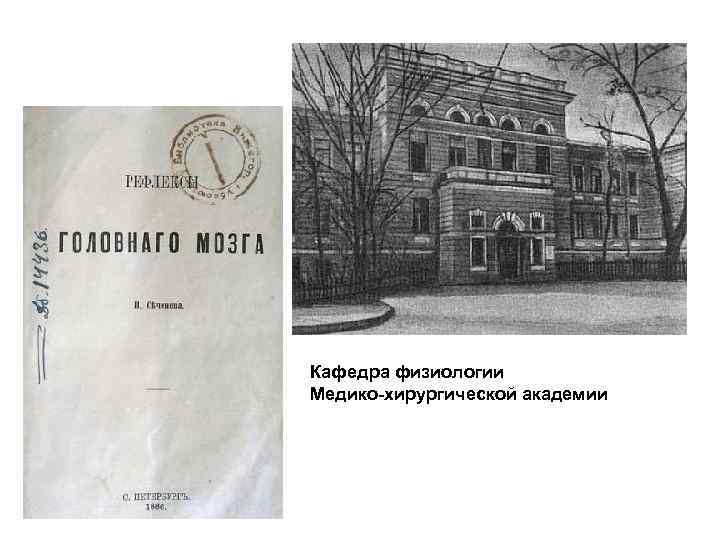 Кафедра физиологии Медико-хирургической академии 