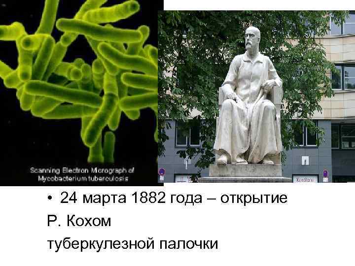  • 24 марта 1882 года – открытие Р. Кохом туберкулезной палочки 