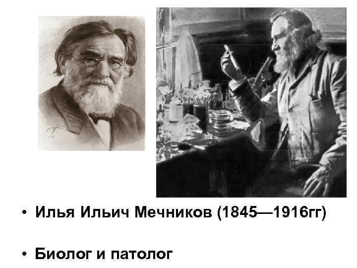  • Илья Ильич Мечников (1845— 1916 гг) • Биолог и патолог 