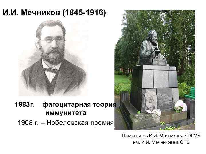 И. И. Мечников (1845 -1916) 1883 г. – фагоцитарная теория иммунитета 1908 г. –