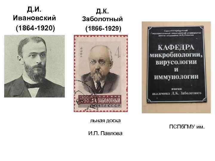 Д. И. Ивановский (1864 -1920) Д. К. Заболотный (1866 -1929) льная доска ПСПб. ГМУ