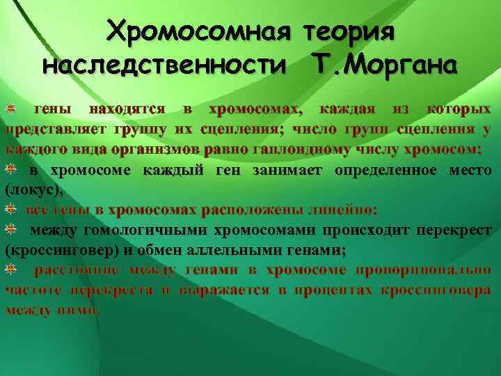 Хромосомная теория наследственности Т. Моргана гены находятся в хромосомах, каждая из которых представляет группу