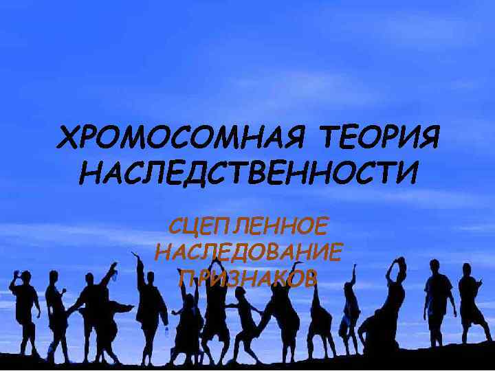 ХРОМОСОМНАЯ ТЕОРИЯ НАСЛЕДСТВЕННОСТИ СЦЕПЛЕННОЕ НАСЛЕДОВАНИЕ ПРИЗНАКОВ 
