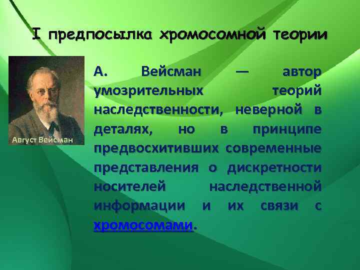 I предпосылка хромосомной теории Август Вейсман А. Вейсман — автор умозрительных теорий наследственности, неверной