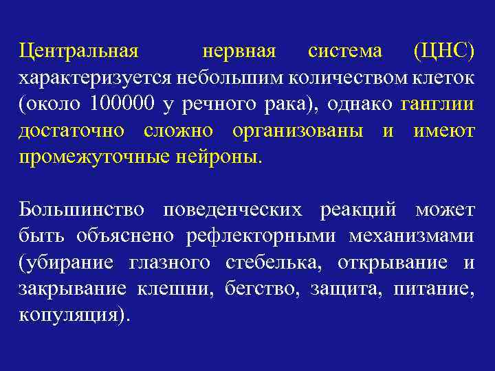 Центральная нервная система (ЦНС) характеризуется небольшим количеством клеток (около 100000 у речного рака), однако