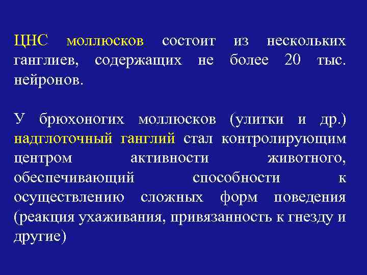 ЦНС моллюсков состоит из нескольких ганглиев, содержащих не более 20 тыс. нейронов. У брюхоногих