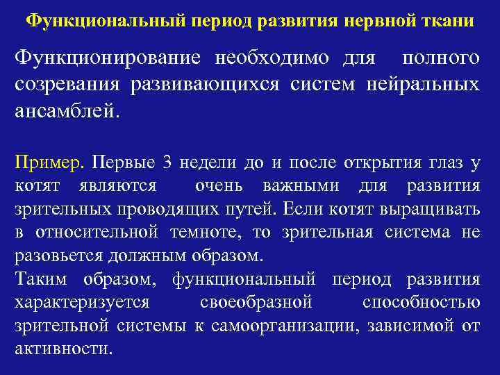 Функциональный период развития нервной ткани Функционирование необходимо для полного созревания развивающихся систем нейральных ансамблей.