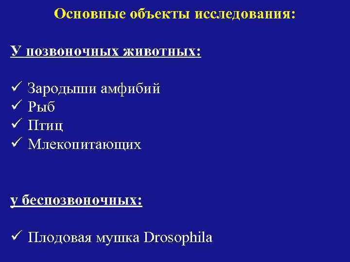 Основные объекты исследования: У позвоночных животных: ü ü Зародыши амфибий Рыб Птиц Млекопитающих у