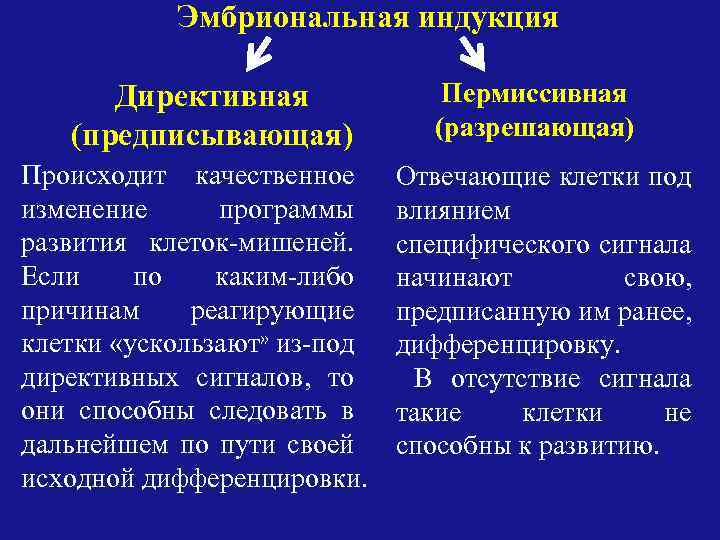 Эмбриональная индукция Директивная (предписывающая) Происходит качественное изменение программы развития клеток-мишеней. Если по каким-либо причинам