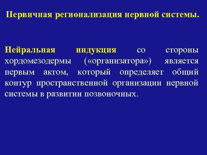 Первичная регионализация нервной системы. Нейральная индукция со стороны хордомезодермы ( «организатора» ) является первым
