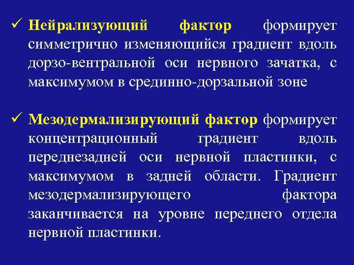 ü Нейрализующий фактор формирует симметрично изменяющийся градиент вдоль дорзо-вентральной оси нервного зачатка, с максимумом