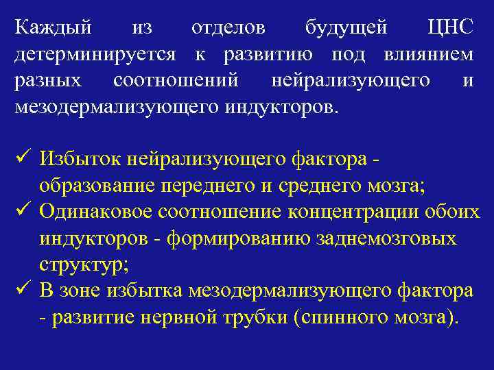 Каждый из отделов будущей ЦНС детерминируется к развитию под влиянием разных соотношений нейрализующего и