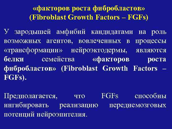  «факторов роста фибробластов» (Fibroblast Growth Factors – FGFs) У зародышей амфибий кандидатами на
