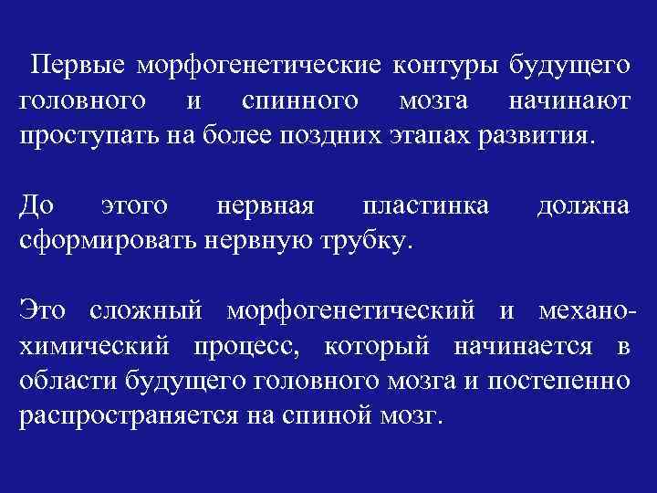 Первые морфогенетические контуры будущего головного и спинного мозга начинают проступать на более поздних