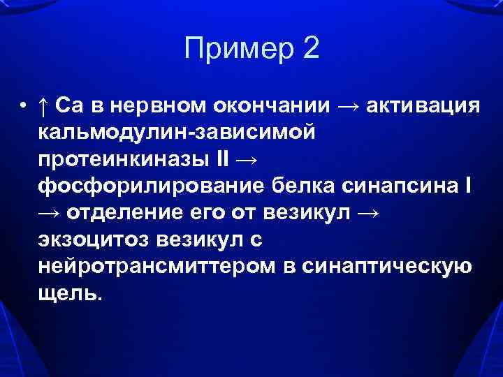 Пример 2 • ↑ Са в нервном окончании → активация кальмодулин-зависимой протеинкиназы II →