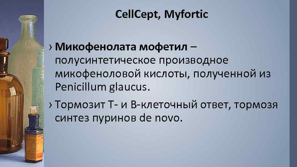 Cell. Cept, Myfortic › Микофенолата мофетил – полусинтетическое производное микофеноловой кислоты, полученной из Penicillum