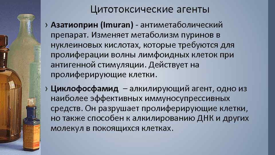 Цитотоксические агенты › Азатиоприн (Imuran) - антиметаболический препарат. Изменяет метаболизм пуринов в нуклеиновых кислотах,