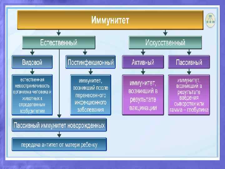 Факторы влияющие на восприимчивость хозяина к инфекции схема ворде