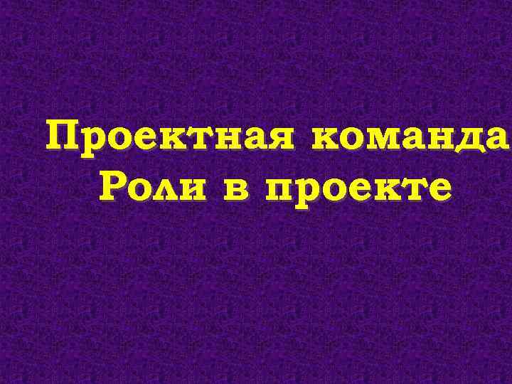 Проектная команда Роли в проекте 