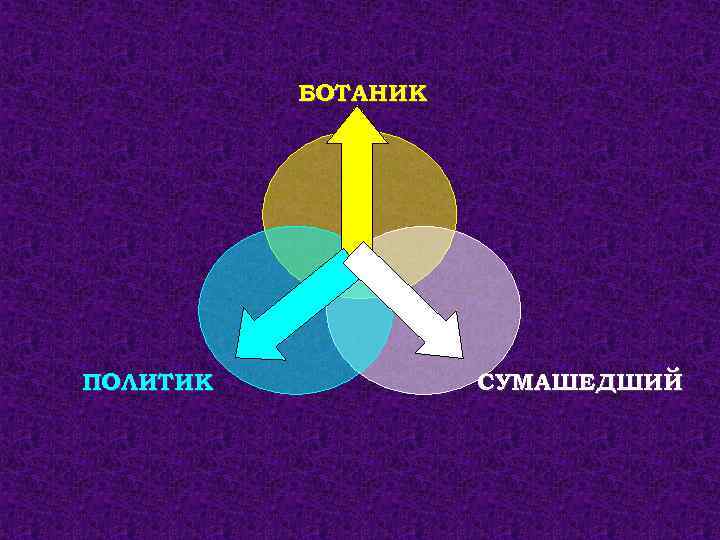 БОТАНИК ПОЛИТИК СУМАШЕДШИЙ 