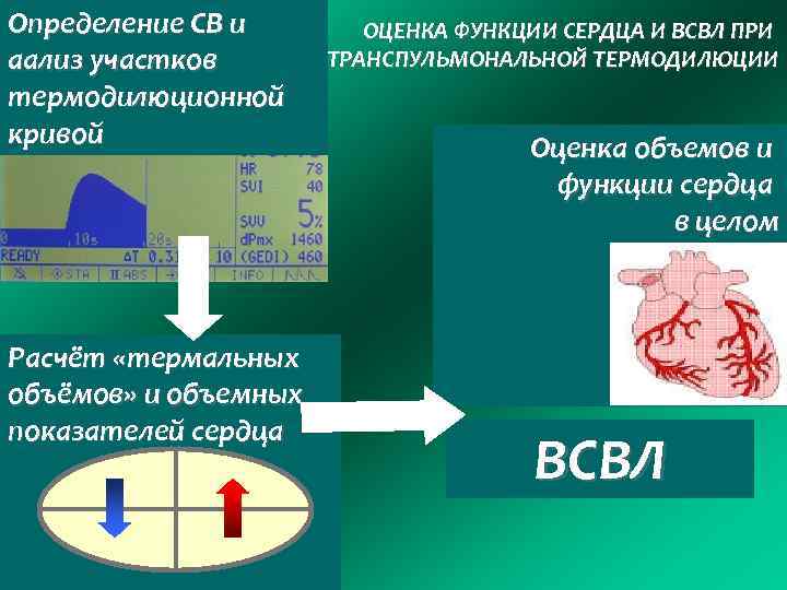 Определение СВ и аализ участков термодилюционной кривой Расчёт «термальных объёмов» и объемных показателей сердца