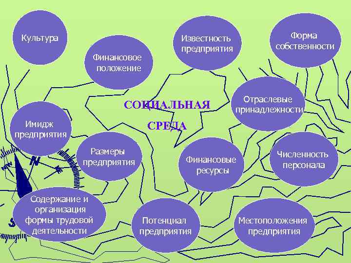 Культура Финансовое положение СОЦИАЛЬНАЯ Имидж предприятия Форма собственности Известность предприятия Отраслевые принадлежности СРЕДА Размеры