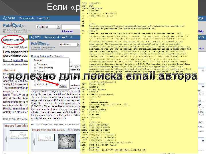 Если «раскрыть» ссылку полезно для поиска email автора 