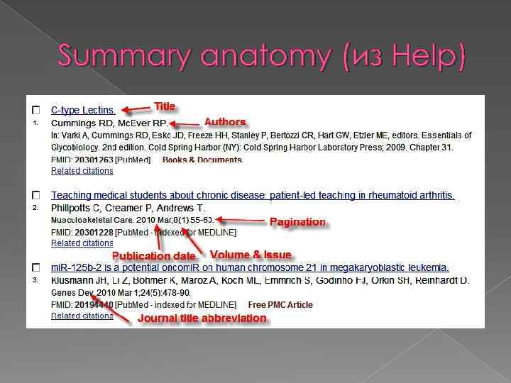 Summary anatomy (из Help) 