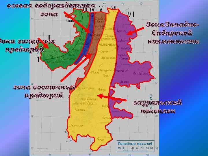 осевая водораздельная зона Зона западных предгорий зона восточных предгорий Зона Западно. Сибирской низменности зауральский