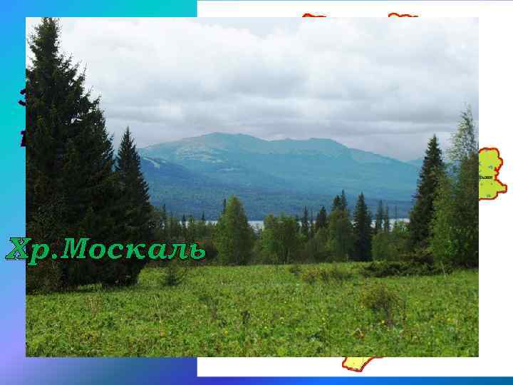 Зона западных предгорий Хр. Москаль 