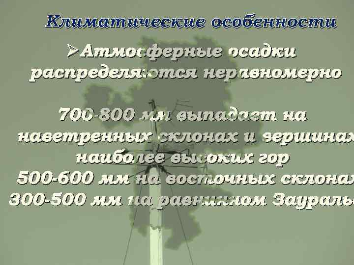 Климатические особенности ØАтмосферные осадки распределяются неравномерно 700 -800 мм выпадает на наветренных склонах и
