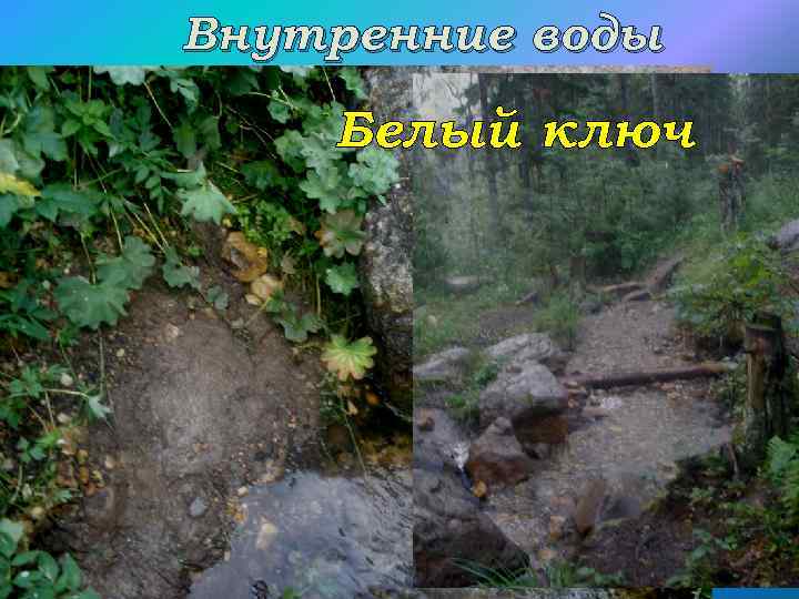 Внутренние воды Белый ключ 