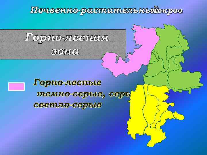 На диаграмме представлено распределение по природным зонам земель челябинской области