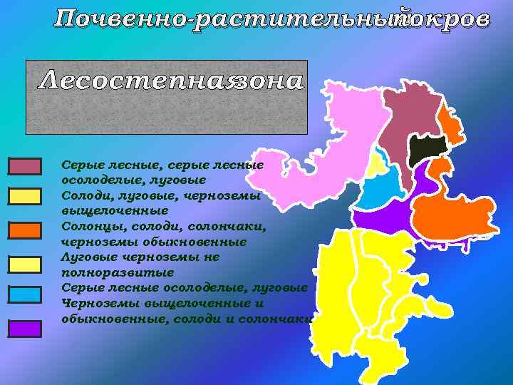 Почвенно-растительный покров Лесостепная зона Серые лесные, серые лесные осолоделые, луговые Солоди, луговые, черноземы выщелоченные