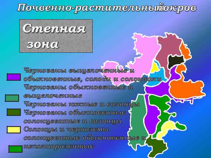 Почвенно-растительный покров Степная зона Черноземы выщелоченные и обыкновенные, солоди и солончаки Черноземы обыкновенные и