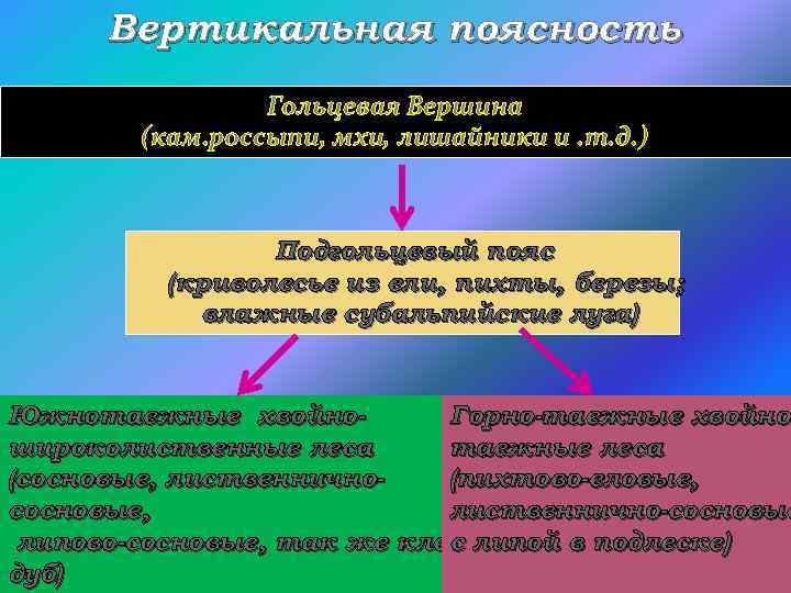 Вертикальная поясность Гольцевая Вершина (кам. россыпи, мхи, лишайники и. т. д. ) Подгольцевый пояс