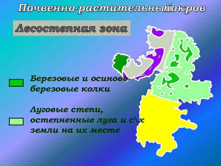 Почвенно-растительный покров Лесостепная зона Березовые и осиновоберезовые колки Луговые степи, остепненные луга и сх