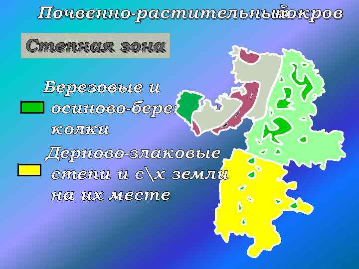 Почвенно-растительный покров Степная зона Березовые и осиново-березовые колки Дерново-злаковые степи и сх земли на