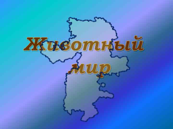 Животный мир 