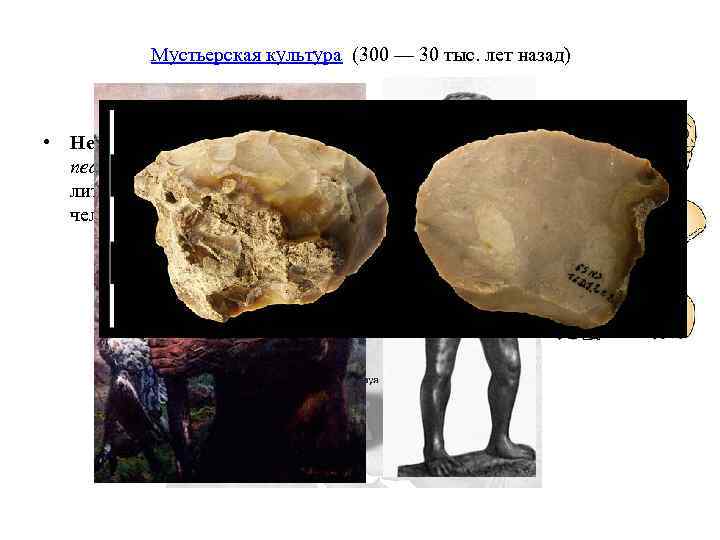 Мустьерская культура (300 — 30 тыс. лет назад) • Неандерта лец, человек неандертальский (лат.