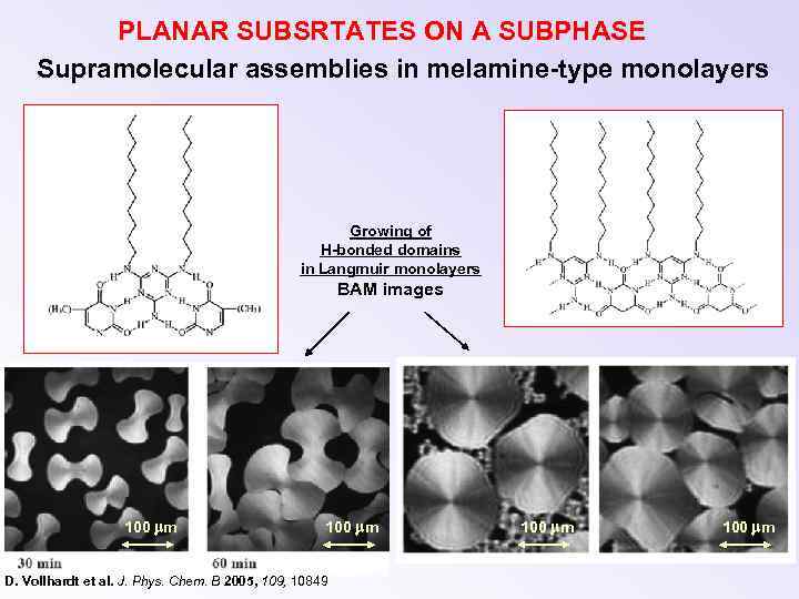 PLANAR SUBSRTATES ON A SUBPHASE Supramolecular assemblies in melamine-type monolayers Growing of H-bonded domains