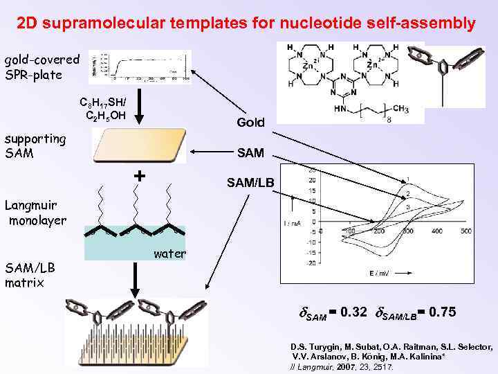 2 D supramolecular templates for nucleotide self-assembly gold-covered SPR-plate C 8 H 17 SH/