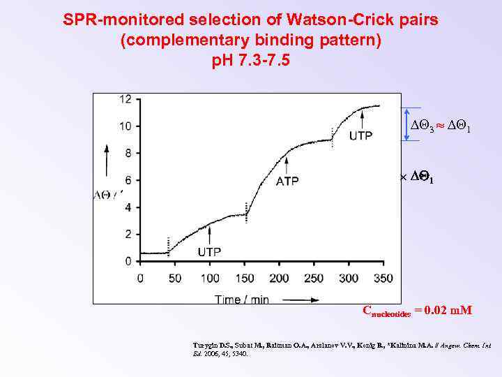 SPR-monitored selection of Watson-Crick pairs (complementary binding pattern) p. H 7. 3 -7. 5