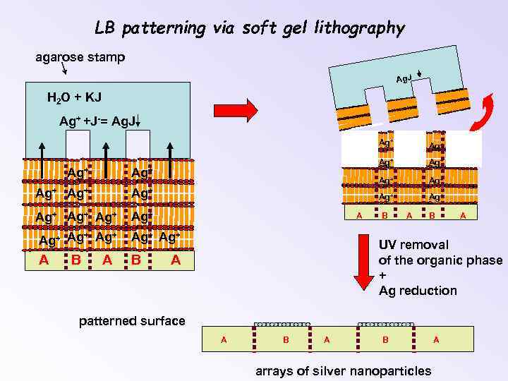 LB patterning via soft gel lithography agarose stamp Ag. J H 2 O +