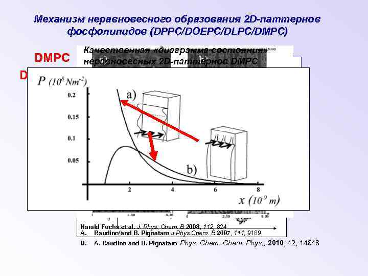 Механизм неравновесного образования 2 D-паттернов фосфолипидов (DPPC/DOEPC/DLPC/DMPC) DMPC DPPC Качественная «диаграмма состояния» неравновесных 2