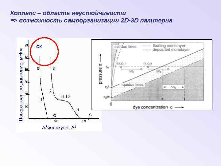 Поверхностное давление, м. Н/м Коллапс – область неустойчивости => возможность cамоорганизации 2 D-3 D