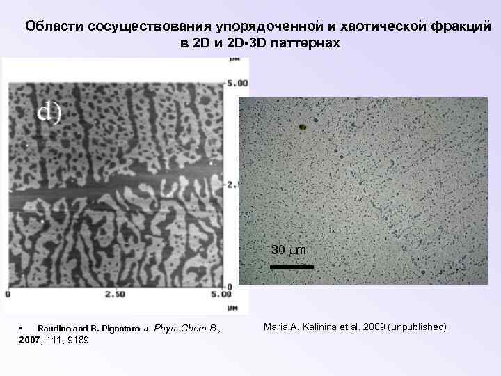 Области сосуществования упорядоченной и хаотической фракций в 2 D и 2 D-3 D паттернах