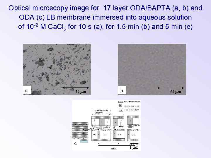 Optical microscopy image for 17 layer ODA/BAPTA (a, b) and ODA (c) LB membrane