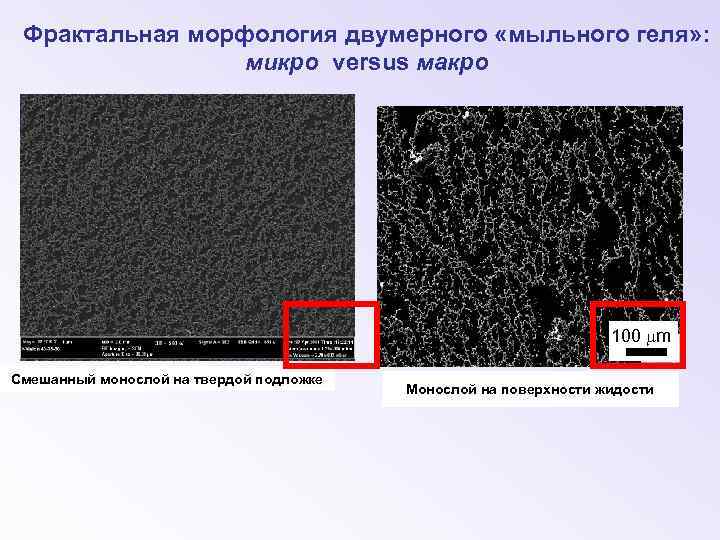 Фрактальная морфология двумерного «мыльного геля» : микро versus макро 100 mm Смешанный монослой на