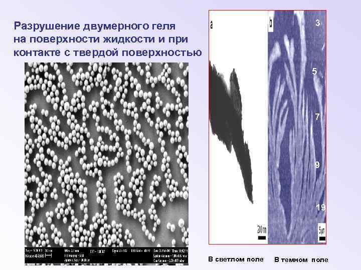 3 Разрушение двумерного геля на поверхности жидкости и при контакте с твердой поверхностью 5